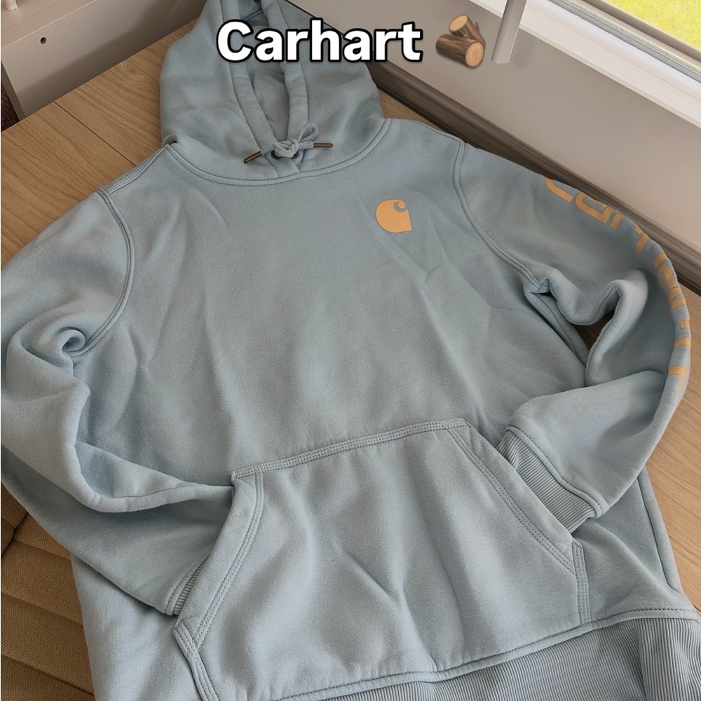 Carhartt Sky Blue Hoodie with Logo
